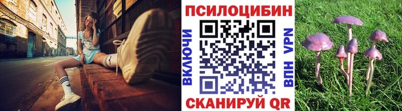 Галлюциногенные грибы MAGIC MUSHROOMS  сколько стоит  Пестово 